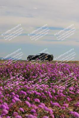 media/Jan-08-2023-SCCA SD (Sun) [[8f6a5b9391]]/Intermediate Group/Session 2 (Short Straight)/